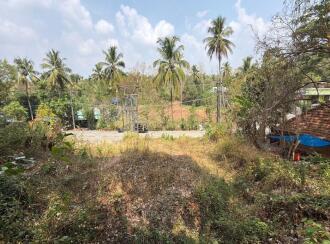 Residential Land for Sale in Kottayam, Kottayam town, Ammanchery, near by esi hospital kottayam