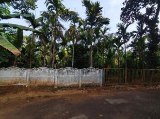 Residential Land for Sale in Ernakulam, Perumbavoor, Kodanad, kuranghanchal road