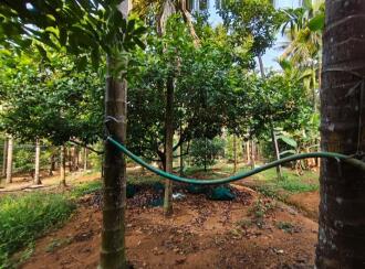 Residential Land for Sale in Ernakulam, Perumbavoor, Kodanad, kuranghanchal road