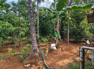 Residential Land for Sale in Ernakulam, Perumbavoor, Kodanad, kuranghanchal road