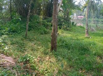 Residential Land for Sale in Pathanamthitta, Thiruvalla, Nedumpuram, Manak Hospital
