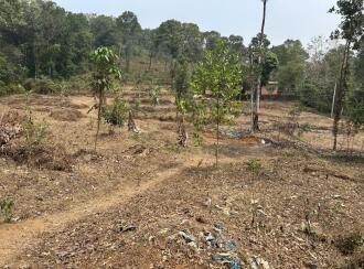 Residential Land for Sale in Kottayam, Kottayam town, Puthuppally, Nera life valley international school