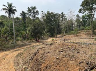 Residential Land for Sale in Kottayam, Kottayam town, Puthuppally, Nera life valley international school