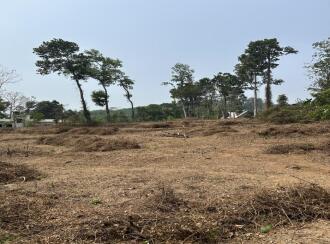 Residential Land for Sale in Kottayam, Kottayam town, Puthuppally, Nera life valley international school