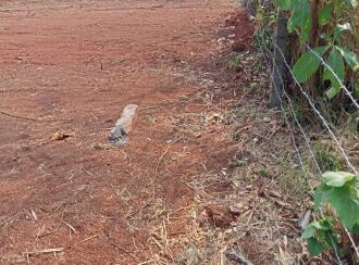 Residential Land for Sale in Thrissur, Mannuthy, Mannuthy, NEAR PLANTS WORLD ,Back side of Kerala Agricultural university - Chirakkakode Road ,kotteapadam