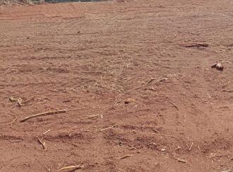 Residential Land for Sale in Thrissur, Mannuthy, Mannuthy, NEAR PLANTS WORLD ,Back side of Kerala Agricultural university - Chirakkakode Road ,kotteapadam