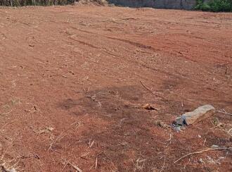 Residential Land for Sale in Thrissur, Mannuthy, Mannuthy, NEAR PLANTS WORLD ,Back side of Kerala Agricultural university - Chirakkakode Road ,kotteapadam