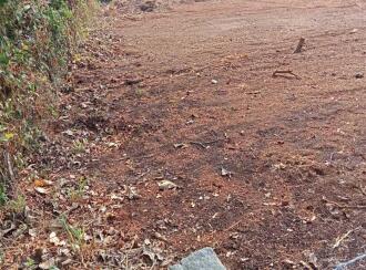 Residential Land for Sale in Thrissur, Mannuthy, Mannuthy, NEAR PLANTS WORLD ,Back side of Kerala Agricultural university - Chirakkakode Road ,kotteapadam