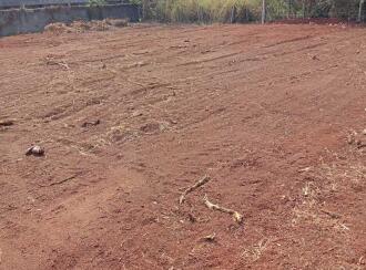 Residential Land for Sale in Thrissur, Mannuthy, Mannuthy, NEAR PLANTS WORLD ,Back side of Kerala Agricultural university - Chirakkakode Road ,kotteapadam