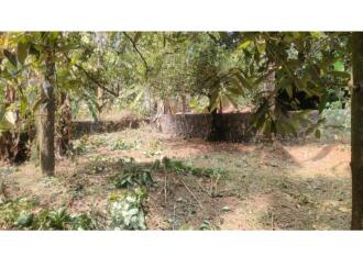 Residential Land for Sale in Ernakulam, Angamaly, Kidangoor, Kidangoor – Sivajipuram Road