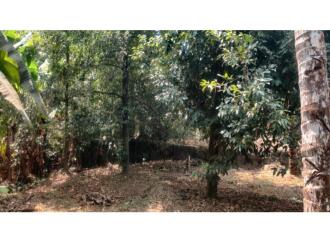 Residential Land for Sale in Ernakulam, Angamaly, Kidangoor, Kidangoor – Sivajipuram Road