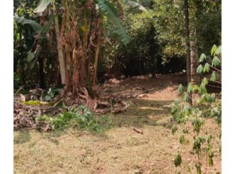 Residential Land for Sale in Ernakulam, Angamaly, Kidangoor, Kidangoor – Sivajipuram Road