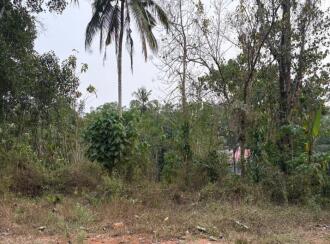 Residential Land for Sale in Pathanamthitta, Kozhencherry, Chenneerkara, Govt I,T,I