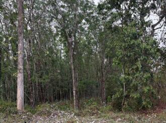 Residential Land for Sale in Pathanamthitta, Kozhencherry, Chenneerkara, Govt I,T,I