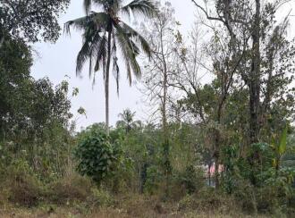 Residential Land for Sale in Pathanamthitta, Kozhencherry, Chenneerkara, Govt I,T,I
