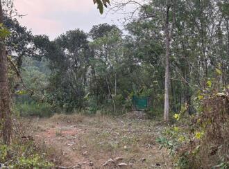 Residential Land for Sale in Pathanamthitta, Kozhencherry, Chenneerkara, Govt I,T,I