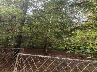 Residential Land for Sale in Ernakulam, Angamaly, Angamaly, Parambussery, Mekkad