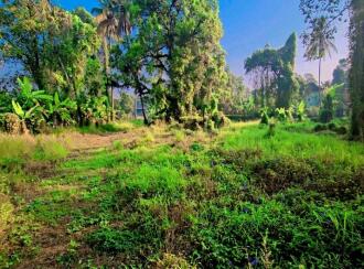 Commercial Land for SaleKottayam, Kottayam town, Pallom