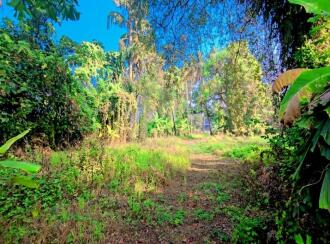 Commercial Land for Sale in Kottayam, Kottayam town, Pallom, MUNICIPAL ROAD