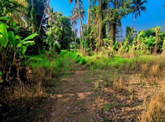 Commercial Land for Sale in Kottayam, Kottayam town, Pallom, MUNICIPAL ROAD