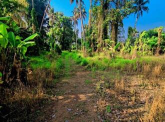 Commercial Land for Sale in Kottayam, Kottayam town, Pallom, MUNICIPAL ROAD