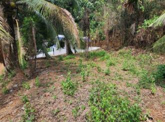 Residential Land for Sale in Kottayam, Pala, Pala, Near Kurishupalli, Pala