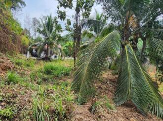 Residential Land for Sale in Kottayam, Pala, Pala, Near Kurishupalli, Pala