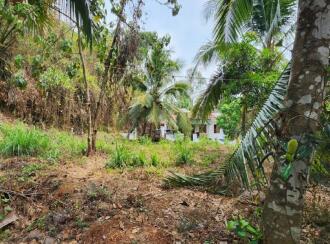 Residential Land for Sale in Kottayam, Pala, Pala, Near Kurishupalli, Pala