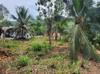 Residential Land for Sale in Kottayam, Pala, Pala, Near Kurishupalli, Pala