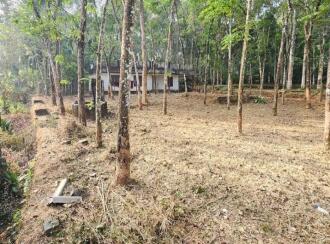 Residential Land for Sale in Kottayam, Kottayam town, Puthuppally, Ettam mile Payyappaady Road near Payyappaady junction