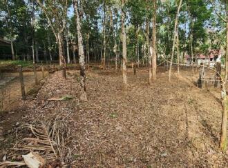 Residential Land for Sale in Kottayam, Kottayam town, Puthuppally, Ettam mile Payyappaady Road near Payyappaady junction