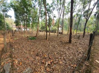 Residential Land for Sale in Kottayam, Kottayam town, Puthuppally, Ettam mile Payyappaady Road near Payyappaady junction