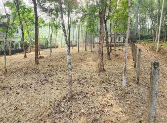Residential Land for Sale in Kottayam, Kottayam town, Puthuppally, Ettam mile Payyappaady Road near Payyappaady junction