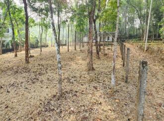 Residential Land for Sale in Kottayam, Kottayam town, Puthuppally, Ettam mile Payyappaady Road near Payyappaady junction