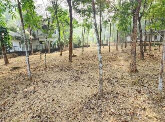 Residential Land for Sale in Kottayam, Kottayam town, Puthuppally, Ettam mile Payyappaady Road near Payyappaady junction