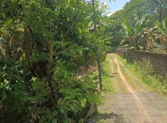 Residential Land for Sale in Ernakulam, Kalammassery, Kalammassery, TOG Road