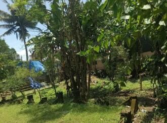 Residential Land for Sale in Ernakulam, Kalammassery, Kalammassery, TOG Road
