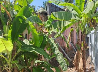 Residential Land for Sale in Alleppey, Ambalapuzha, Purakkad, karumadikuttan-karuvatta new byepass