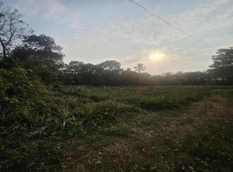 Residential Land for Sale in Ernakulam, Puthencruz, Venkida, Venkida-Puthencruz Road