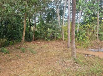 Residential Land for Sale in Thrissur, Kodakara, Kodakara, Puliparakunnu
