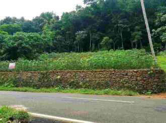 Residential Land for Sale in Kottayam, Ayarkunnam, Ayarkunnam, Mannal
