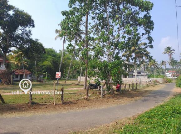 Plots For Sale Cherukole, Mavelikara, Flood Free Area - 2.90 lakhs