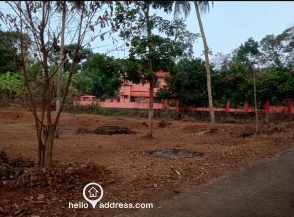 32 cents premium plot @ Kallooppara