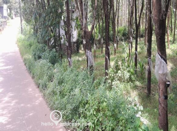 Residential Land for Sale