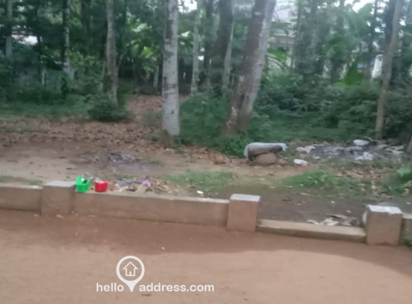 Well Maintained property with plenty of space at the Backyard