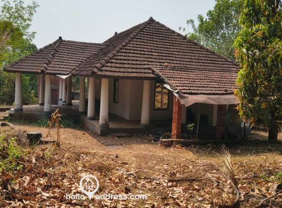 Commercial Land for Sale