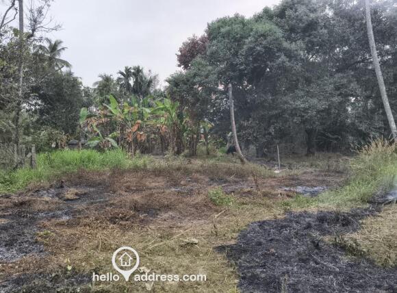 29 cent land. Can sell as two plots.