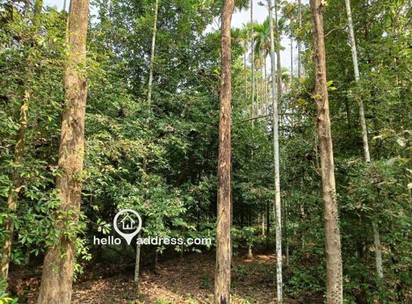 Agricultural Land for Sale