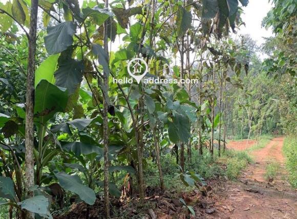 Agricultural Land for Sale
