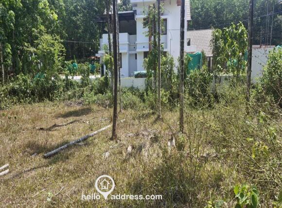 Plot alone (excluding the surrounding houses and road)